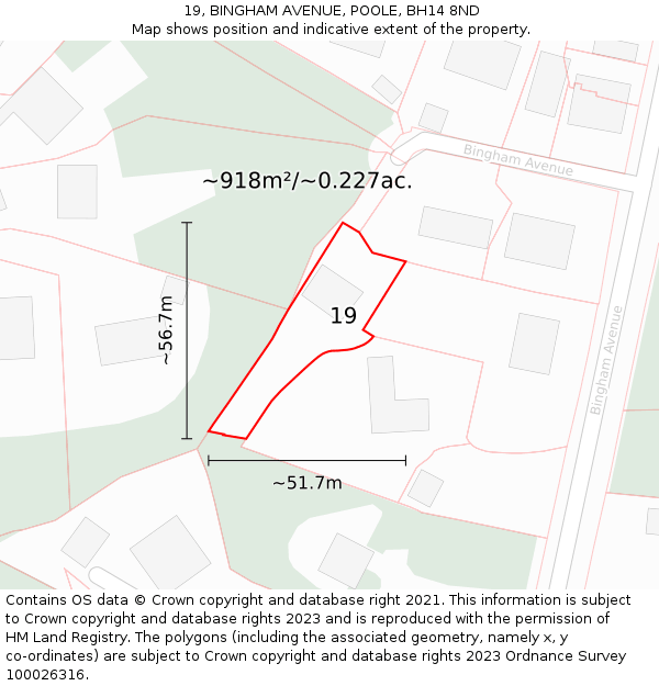 19, BINGHAM AVENUE, POOLE, BH14 8ND: Plot and title map