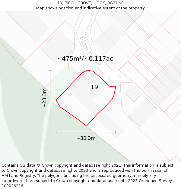 19, BIRCH GROVE, HOOK, RG27 9RJ: Plot and title map