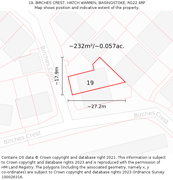 19, BIRCHES CREST, HATCH WARREN, BASINGSTOKE, RG22 4RP: Plot and title map