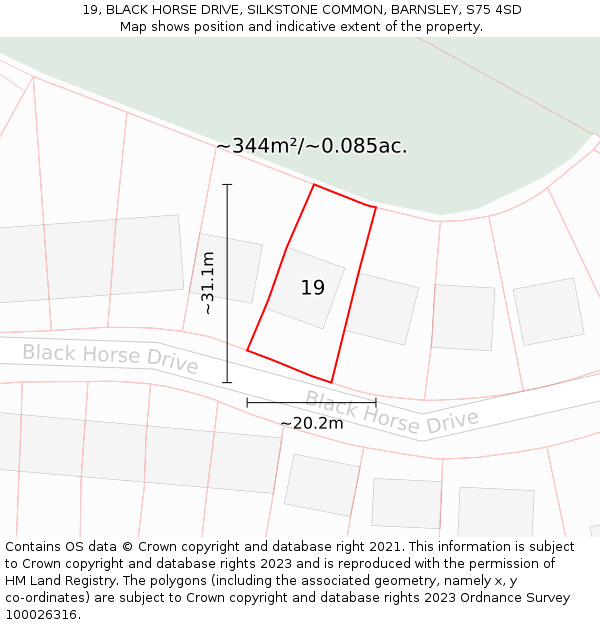 19, BLACK HORSE DRIVE, SILKSTONE COMMON, BARNSLEY, S75 4SD: Plot and title map