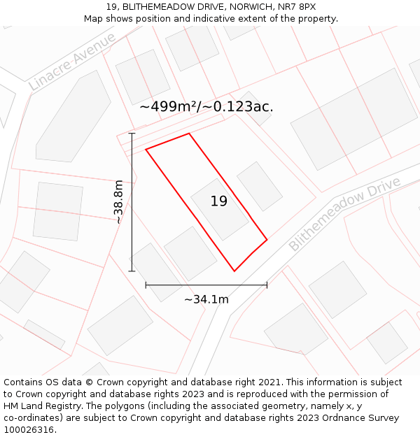 19, BLITHEMEADOW DRIVE, NORWICH, NR7 8PX: Plot and title map