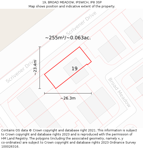 19, BROAD MEADOW, IPSWICH, IP8 3SP: Plot and title map