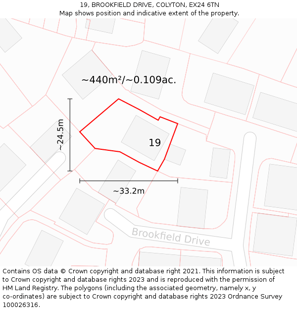 19, BROOKFIELD DRIVE, COLYTON, EX24 6TN: Plot and title map