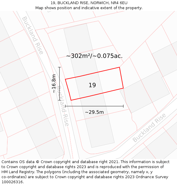 19, BUCKLAND RISE, NORWICH, NR4 6EU: Plot and title map