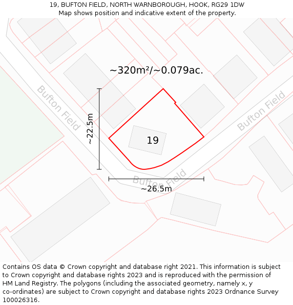 19, BUFTON FIELD, NORTH WARNBOROUGH, HOOK, RG29 1DW: Plot and title map