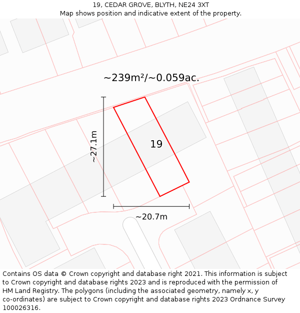 19, CEDAR GROVE, BLYTH, NE24 3XT: Plot and title map