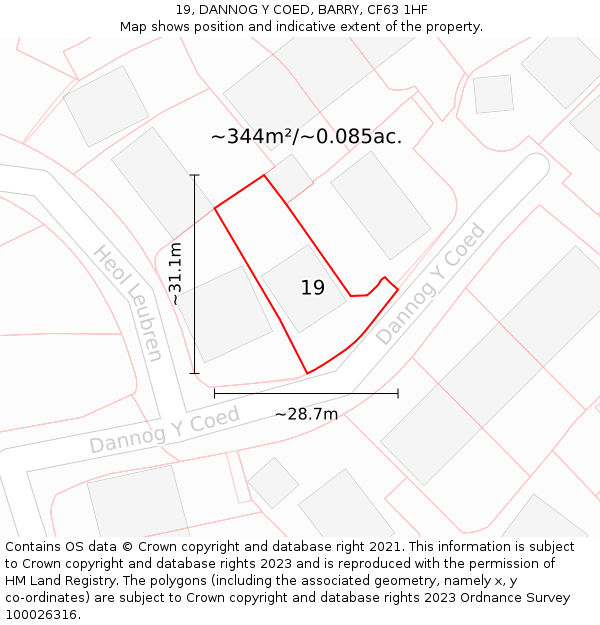 19, DANNOG Y COED, BARRY, CF63 1HF: Plot and title map