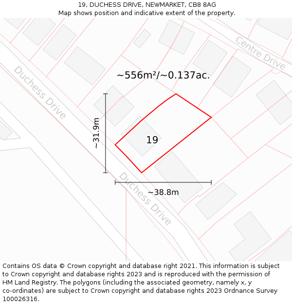 19, DUCHESS DRIVE, NEWMARKET, CB8 8AG: Plot and title map