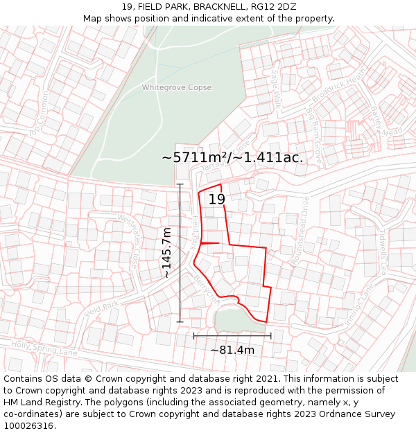 19, FIELD PARK, BRACKNELL, RG12 2DZ: Plot and title map