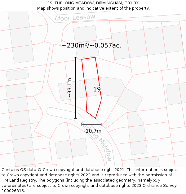 19, FURLONG MEADOW, BIRMINGHAM, B31 3XJ: Plot and title map