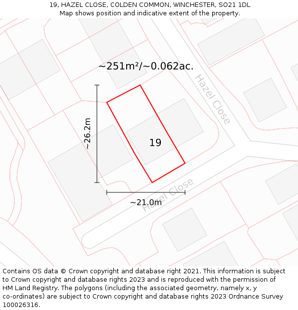 19, HAZEL CLOSE, COLDEN COMMON, WINCHESTER, SO21 1DL: Plot and title map