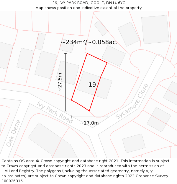 19, IVY PARK ROAD, GOOLE, DN14 6YG: Plot and title map