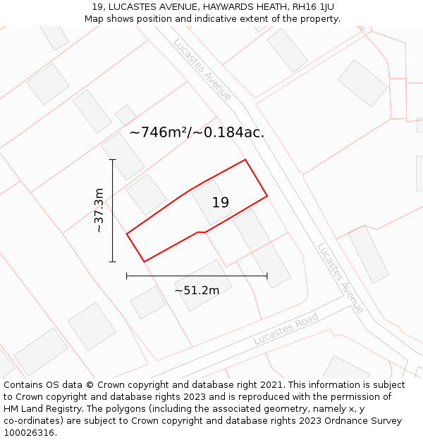 19, LUCASTES AVENUE, HAYWARDS HEATH, RH16 1JU: Plot and title map