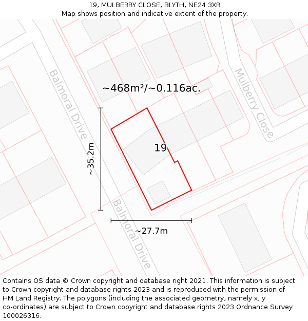 19, MULBERRY CLOSE, BLYTH, NE24 3XR: Plot and title map