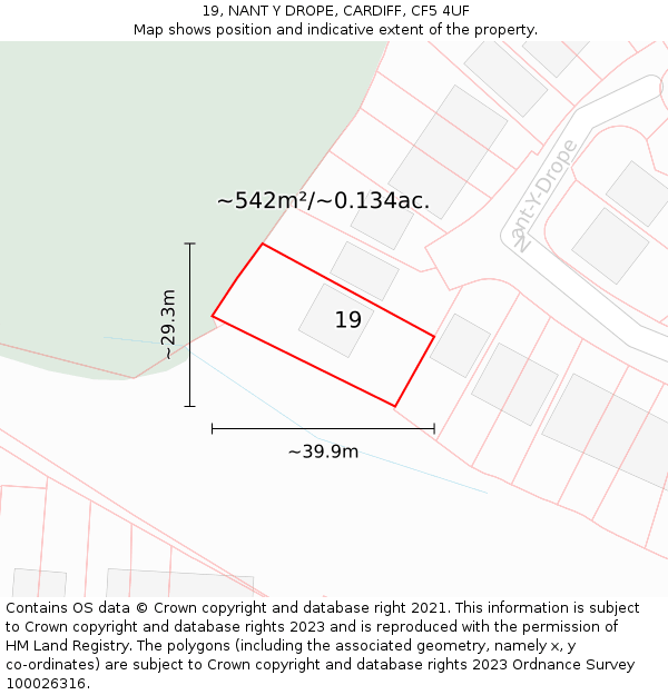 19, NANT Y DROPE, CARDIFF, CF5 4UF: Plot and title map
