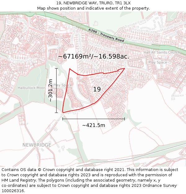 19, NEWBRIDGE WAY, TRURO, TR1 3LX: Plot and title map