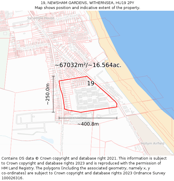 19, NEWSHAM GARDENS, WITHERNSEA, HU19 2PY: Plot and title map