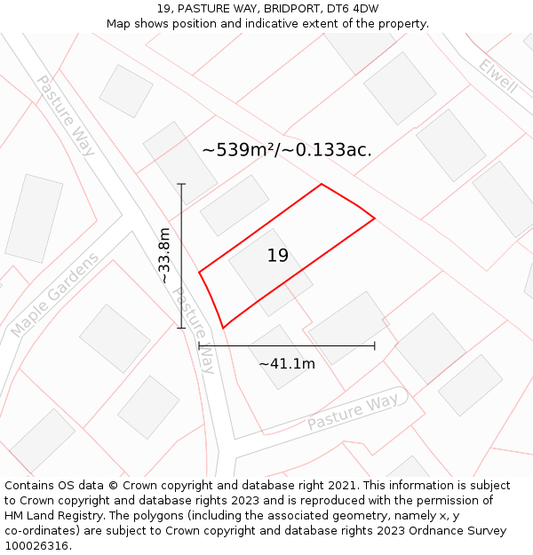 19, PASTURE WAY, BRIDPORT, DT6 4DW: Plot and title map