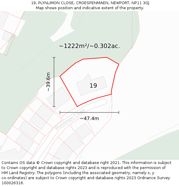 19, PLYNLIMON CLOSE, CROESPENMAEN, NEWPORT, NP11 3GJ: Plot and title map