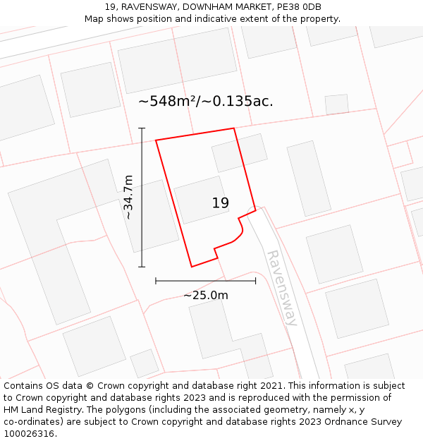 19, RAVENSWAY, DOWNHAM MARKET, PE38 0DB: Plot and title map
