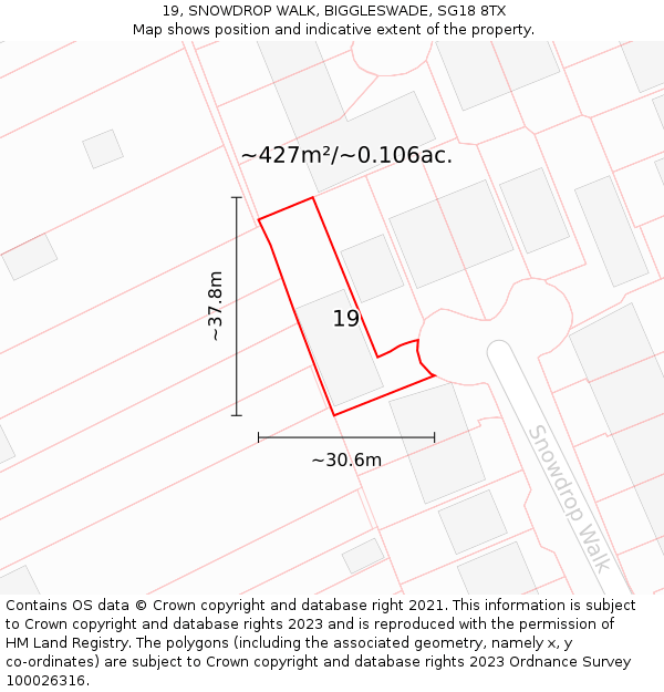 19, SNOWDROP WALK, BIGGLESWADE, SG18 8TX: Plot and title map