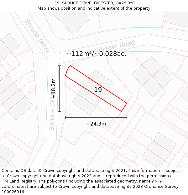 19, SPRUCE DRIVE, BICESTER, OX26 3YE: Plot and title map