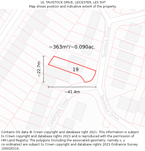 19, TAVISTOCK DRIVE, LEICESTER, LE5 5NT: Plot and title map