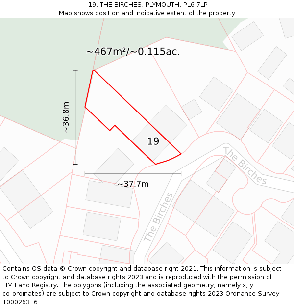 19, THE BIRCHES, PLYMOUTH, PL6 7LP: Plot and title map