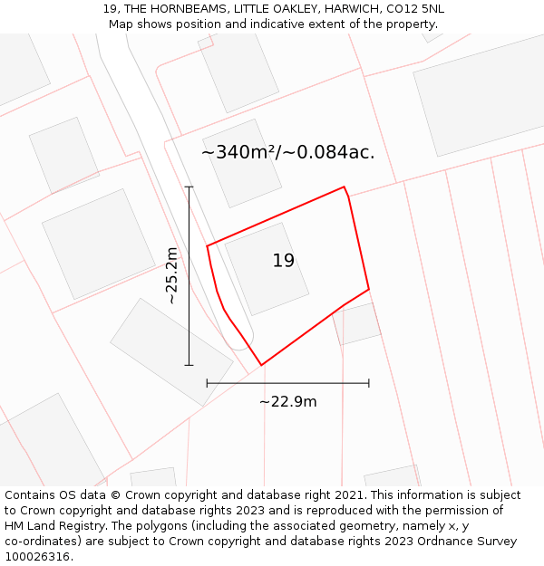 19, THE HORNBEAMS, LITTLE OAKLEY, HARWICH, CO12 5NL: Plot and title map