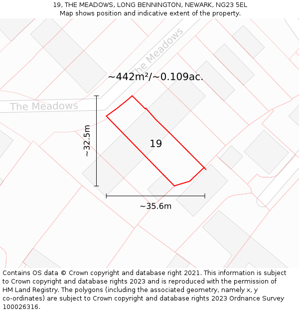 19, THE MEADOWS, LONG BENNINGTON, NEWARK, NG23 5EL: Plot and title map