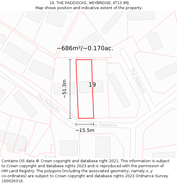 19, THE PADDOCKS, WEYBRIDGE, KT13 9RJ: Plot and title map