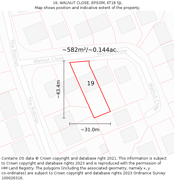 19, WALNUT CLOSE, EPSOM, KT18 5JL: Plot and title map