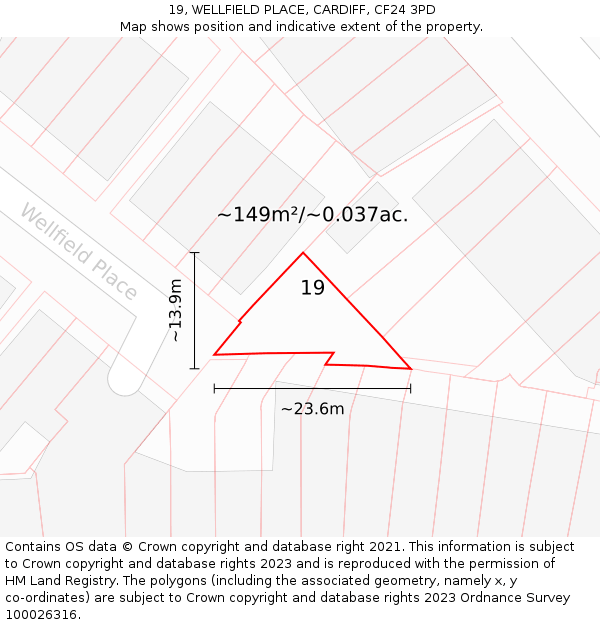 19, WELLFIELD PLACE, CARDIFF, CF24 3PD: Plot and title map