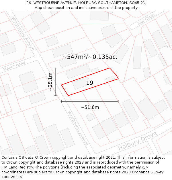 19, WESTBOURNE AVENUE, HOLBURY, SOUTHAMPTON, SO45 2NJ: Plot and title map