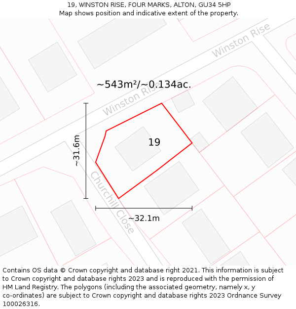 19, WINSTON RISE, FOUR MARKS, ALTON, GU34 5HP: Plot and title map