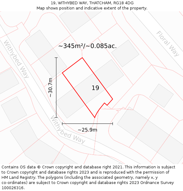 19, WITHYBED WAY, THATCHAM, RG18 4DG: Plot and title map