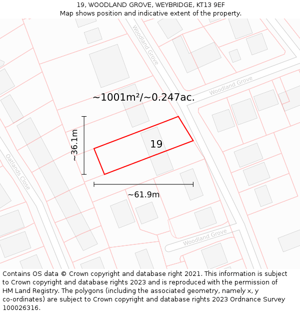 19, WOODLAND GROVE, WEYBRIDGE, KT13 9EF: Plot and title map