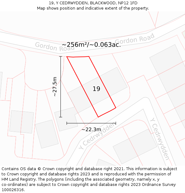 19, Y CEDRWYDDEN, BLACKWOOD, NP12 1FD: Plot and title map