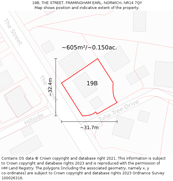 19B, THE STREET, FRAMINGHAM EARL, NORWICH, NR14 7QY: Plot and title map