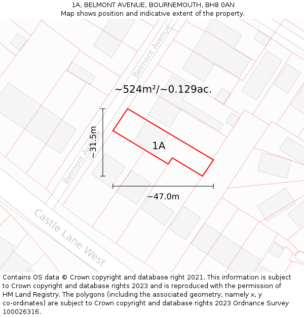 1A, BELMONT AVENUE, BOURNEMOUTH, BH8 0AN: Plot and title map