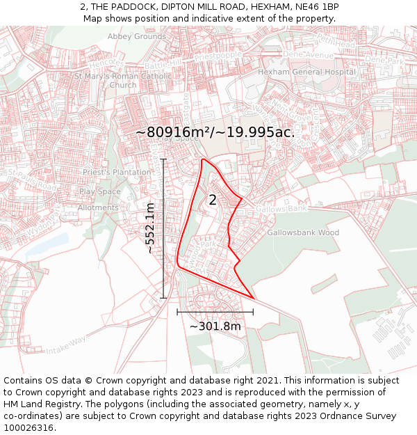 2, THE PADDOCK, DIPTON MILL ROAD, HEXHAM, NE46 1BP: Plot and title map