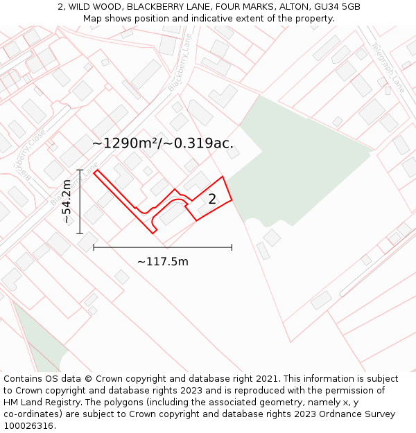 2, WILD WOOD, BLACKBERRY LANE, FOUR MARKS, ALTON, GU34 5GB: Plot and title map