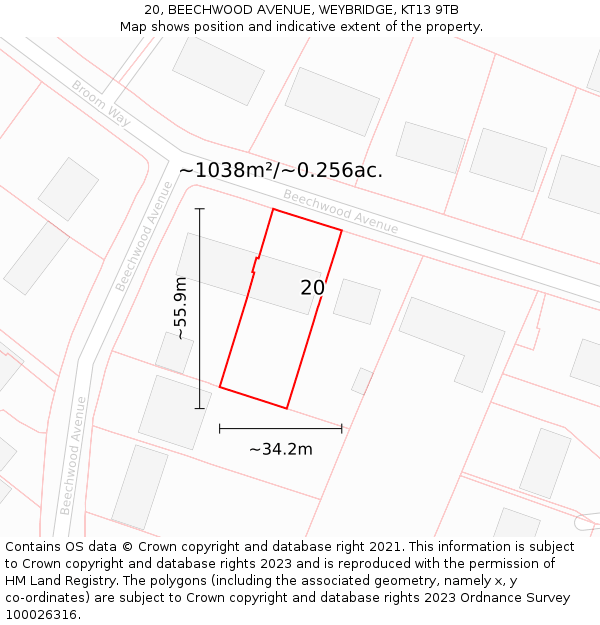 20, BEECHWOOD AVENUE, WEYBRIDGE, KT13 9TB: Plot and title map