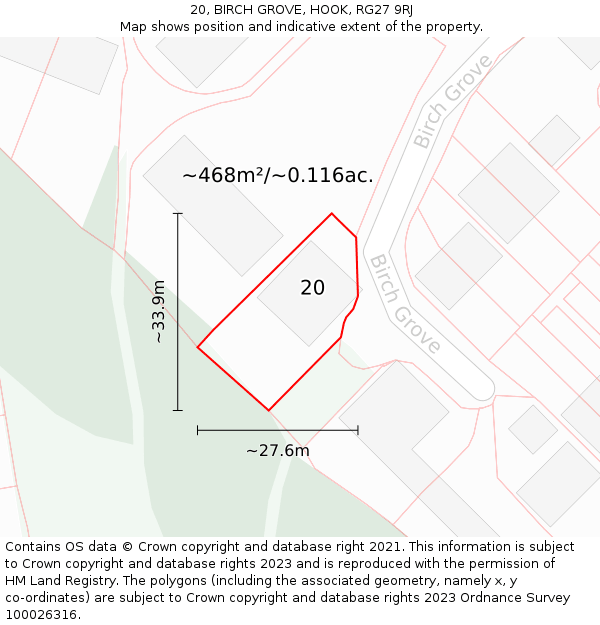 20, BIRCH GROVE, HOOK, RG27 9RJ: Plot and title map