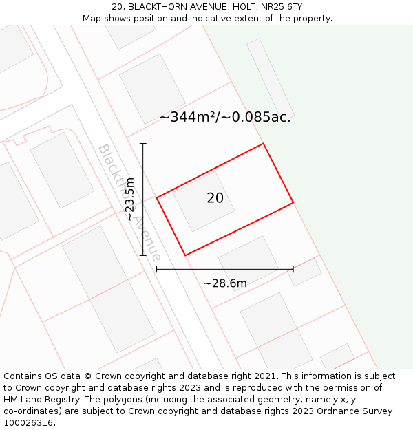 20, BLACKTHORN AVENUE, HOLT, NR25 6TY: Plot and title map