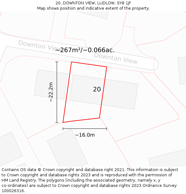 20, DOWNTON VIEW, LUDLOW, SY8 1JF: Plot and title map