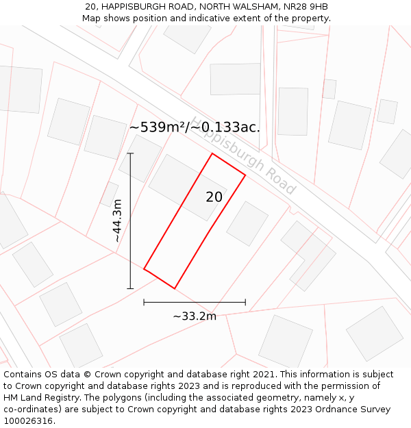 20, HAPPISBURGH ROAD, NORTH WALSHAM, NR28 9HB: Plot and title map