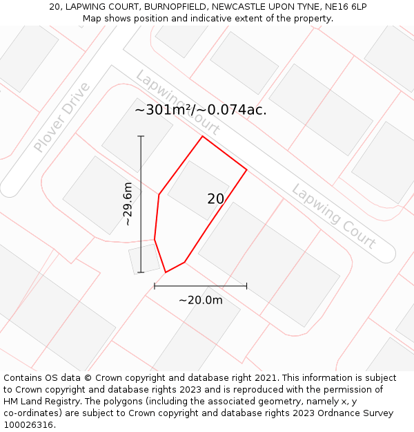 20, LAPWING COURT, BURNOPFIELD, NEWCASTLE UPON TYNE, NE16 6LP: Plot and title map