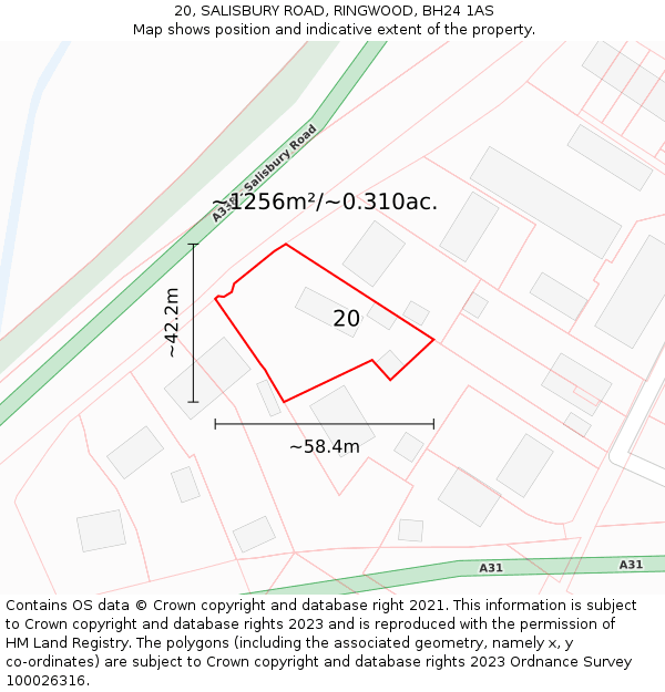 20, SALISBURY ROAD, RINGWOOD, BH24 1AS: Plot and title map