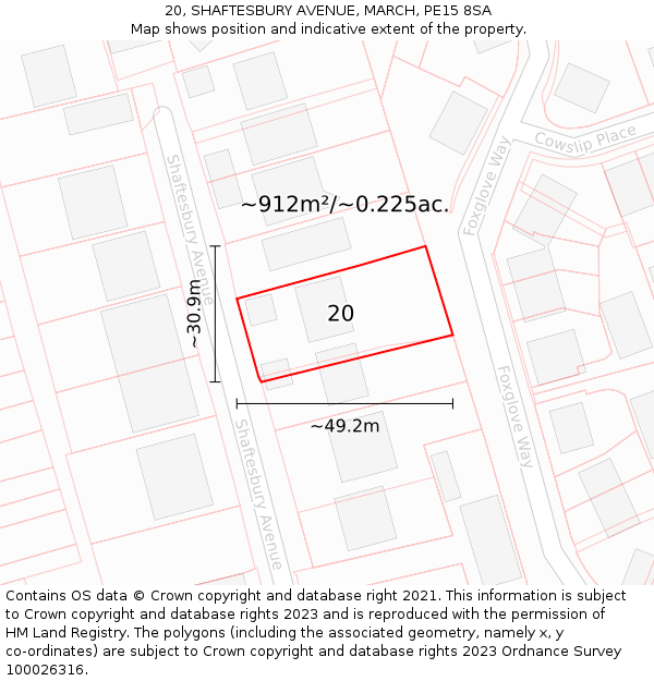 20, SHAFTESBURY AVENUE, MARCH, PE15 8SA: Plot and title map